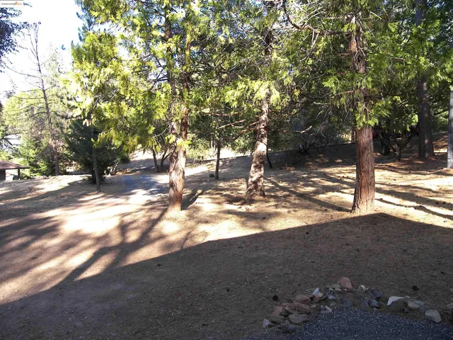 a view of yard with trees