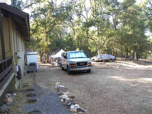 a tree in the middle of a yard