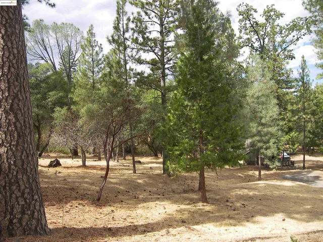 $319,900 | 13024 Gamble Street, Groveland, CA 95321