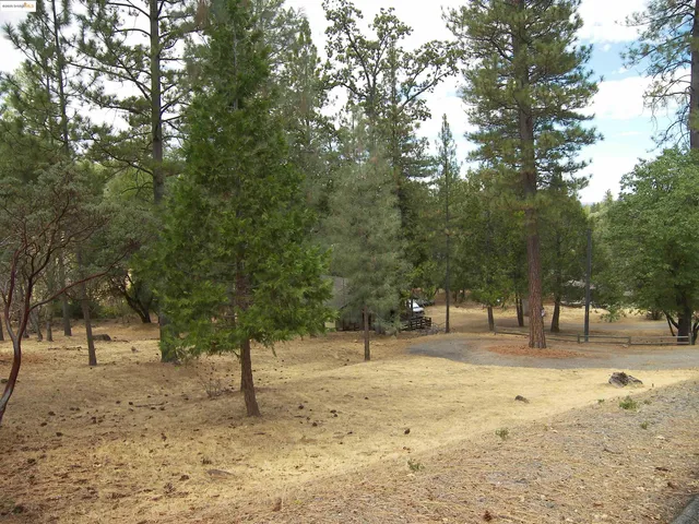 $319,900 | 13024 Gamble Street, Groveland, CA 95321