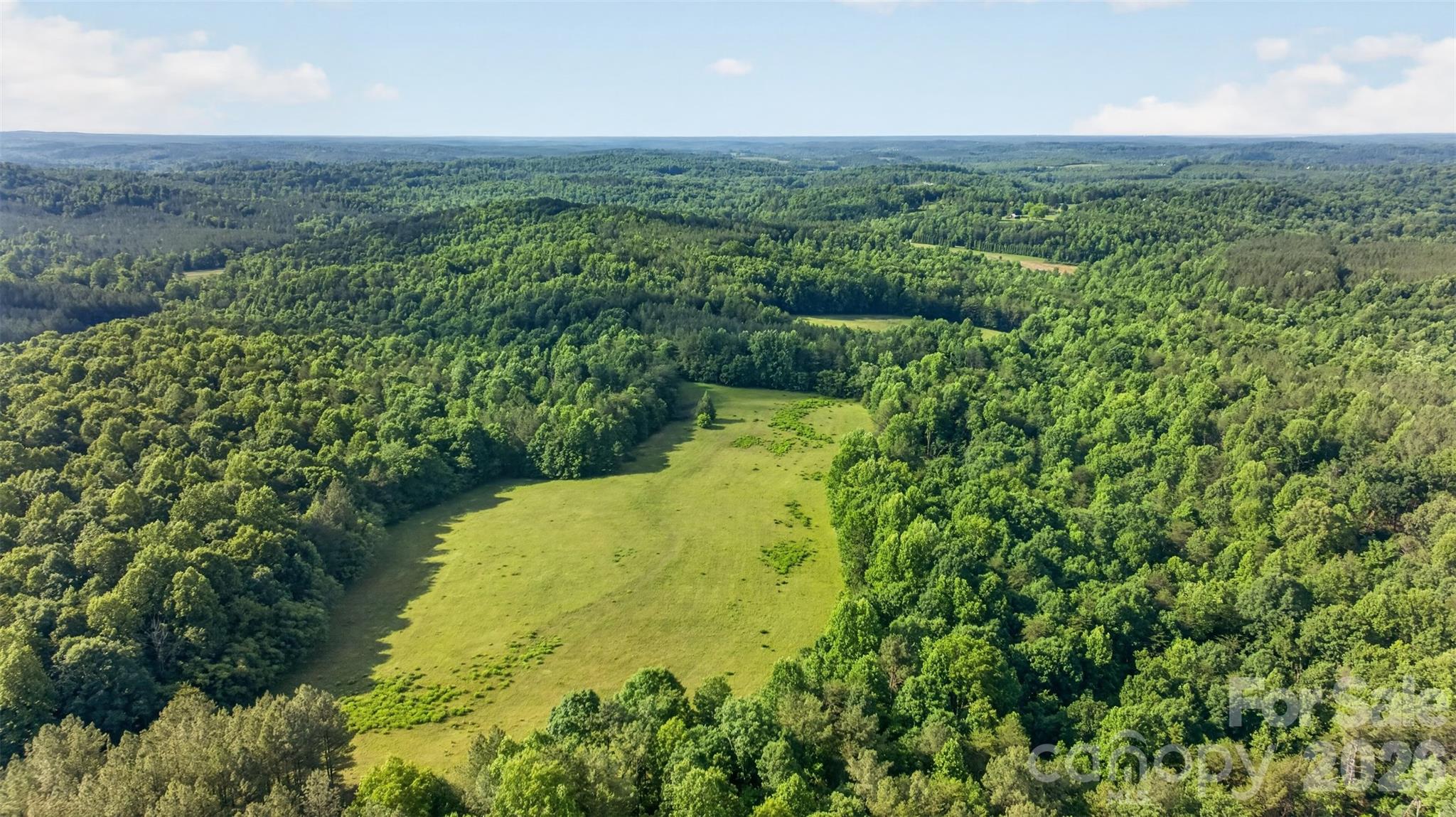 485 Frog Creek Road Union Mills, NC 28167 - Photo 5 of 44