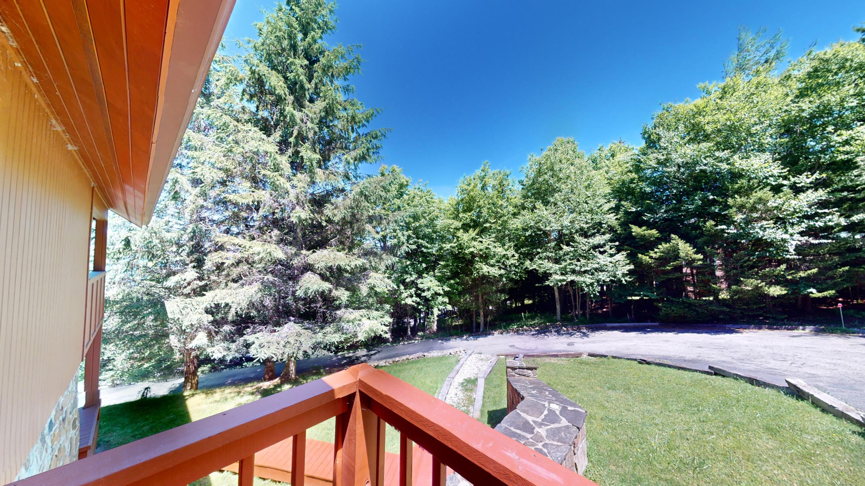 1091 North Westridge Road Slatyfork, WV 26291 - Photo 45 of 77 Gallery Image 45