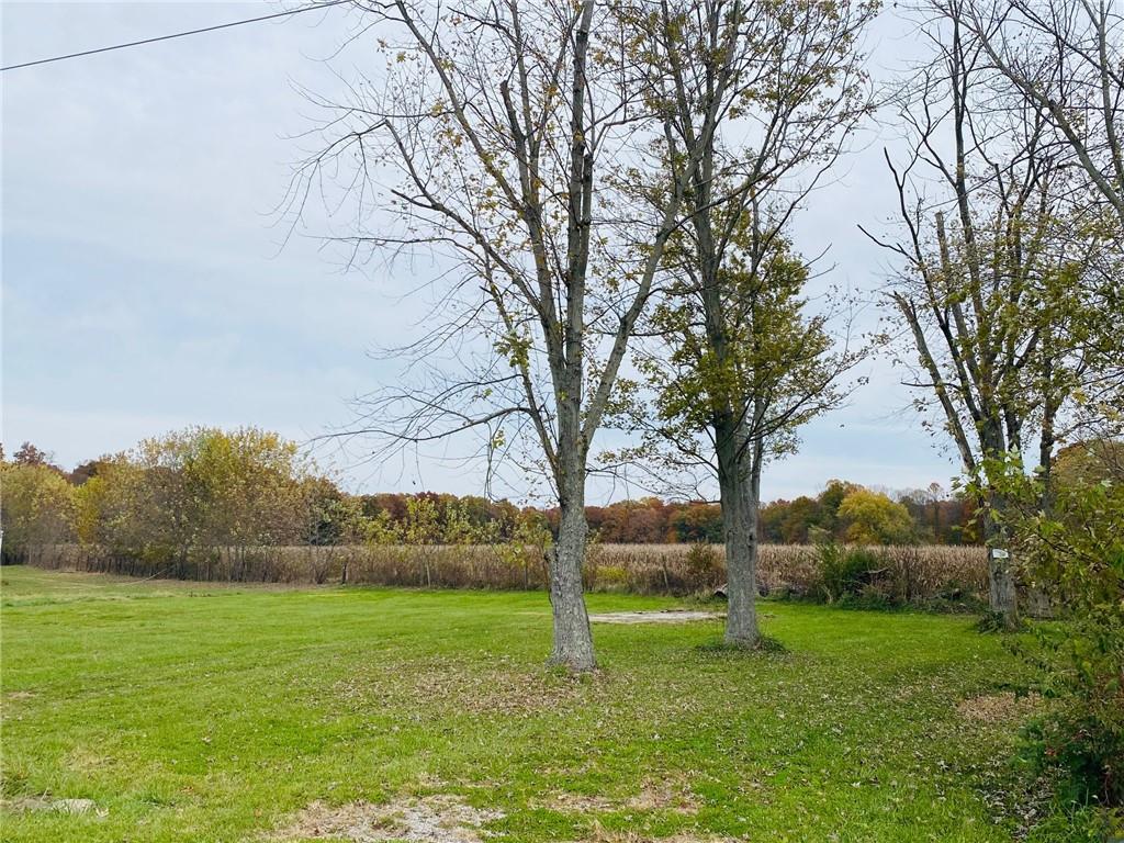 10100 Tower Road Quincy, IN 47456 - Photo 5 of 5 Gallery Image 5