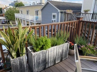 138 West 3rd Street Boston, MA 02127 - Photo 19 of 21 a view of a house with backyard and deck