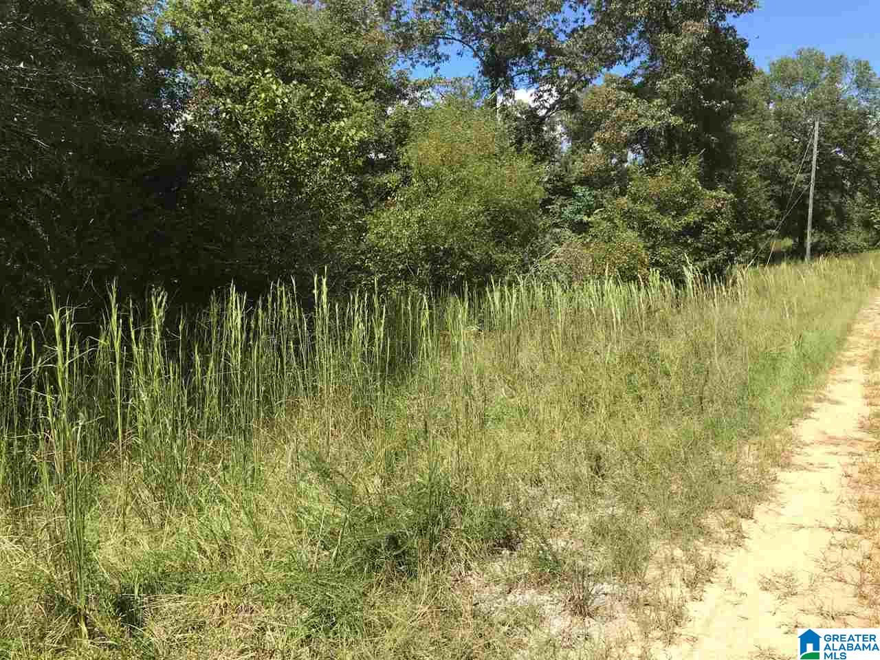 301 Wanda Way, Unit 1 Brierfield, AL 35035 - Photo 8 of 9