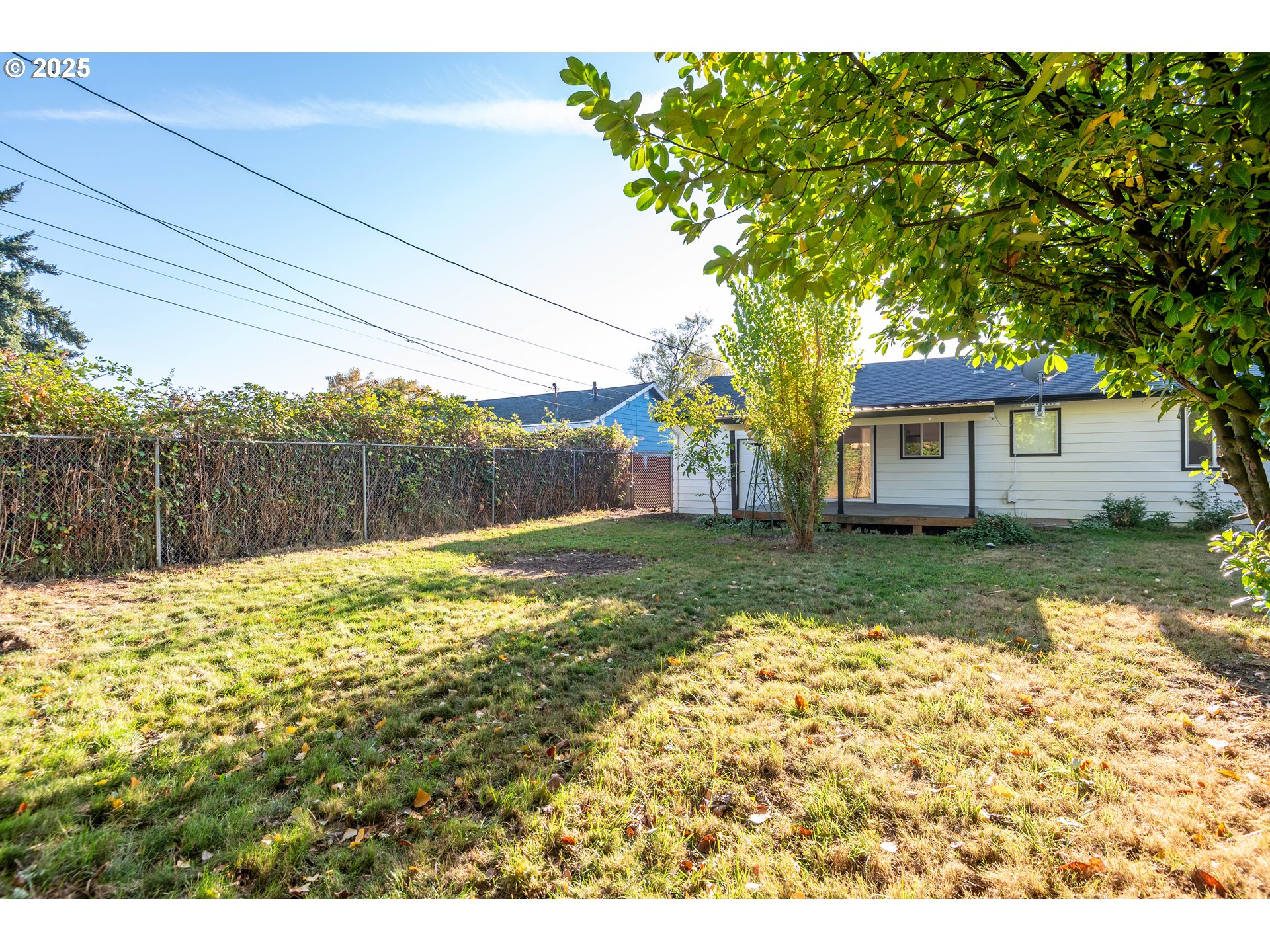 435 28th Avenue Longview, WA 98632 - Photo 21 of 24 a view of backyard with tree