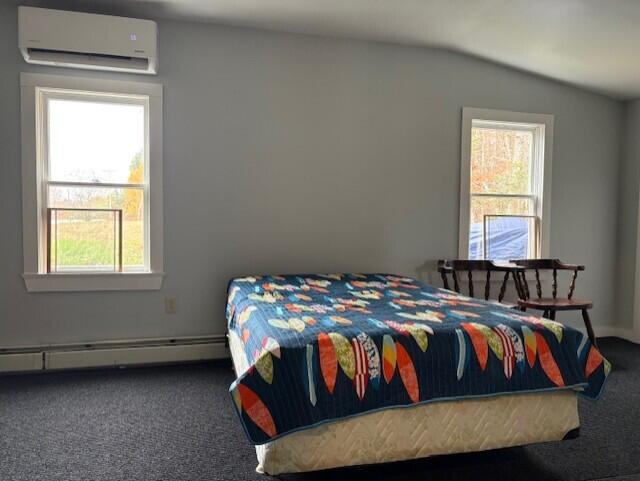 50 Blackwoods Road Franklin, ME 04634 - Photo 29 of 42 thumbnail_IMG_6101