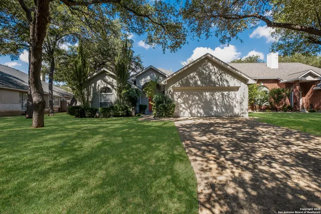 a view of a yard in front of a house with a large tree
