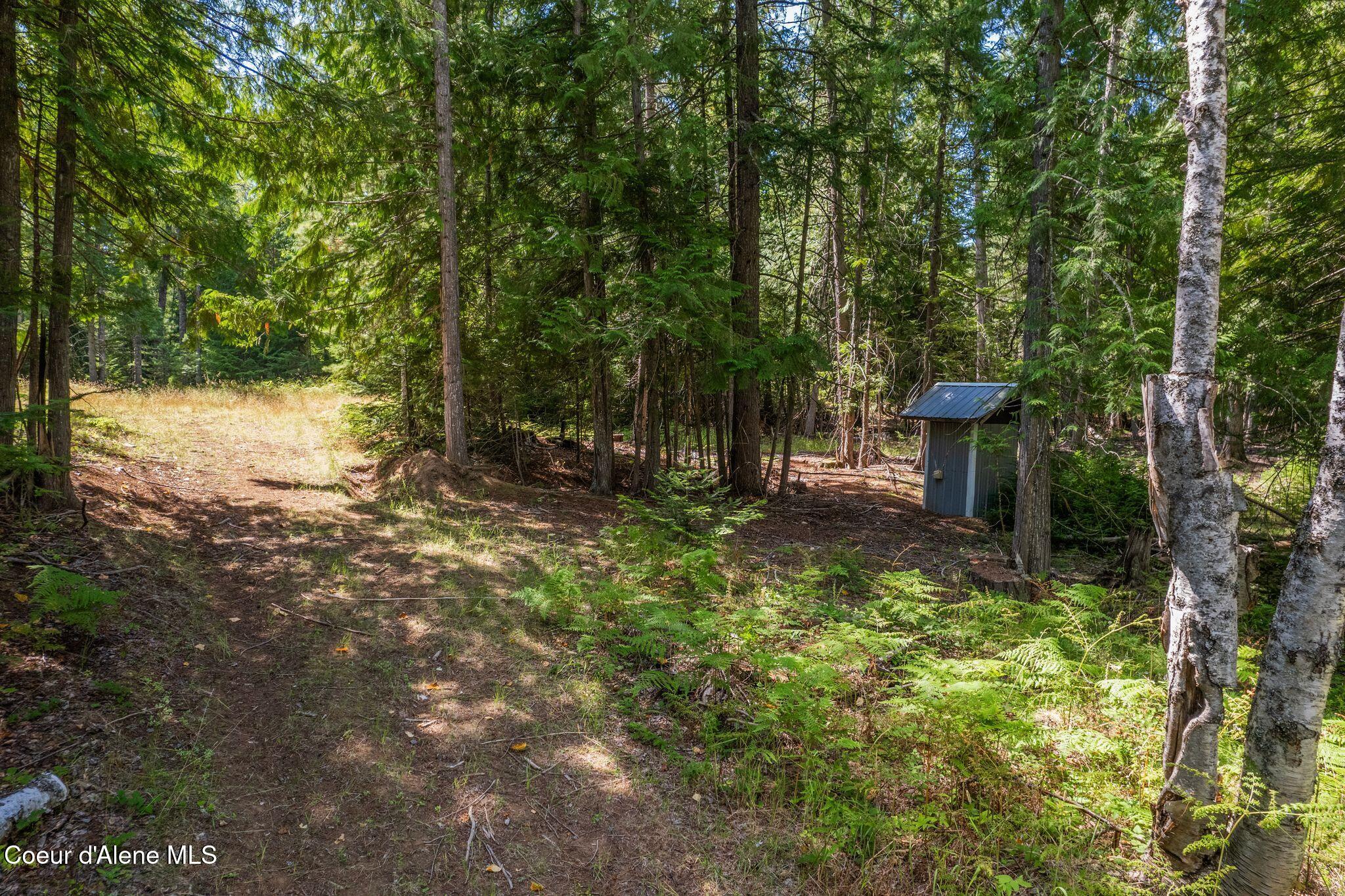 780 Selkirk Road Sandpoint, ID 83864 - Photo 38 of 57 Building site with separate power
