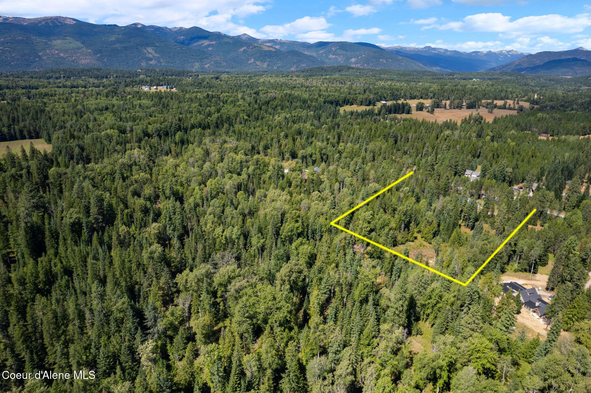 780 Selkirk Road Sandpoint, ID 83864 - Photo 43 of 57 Beautifully groomed trees