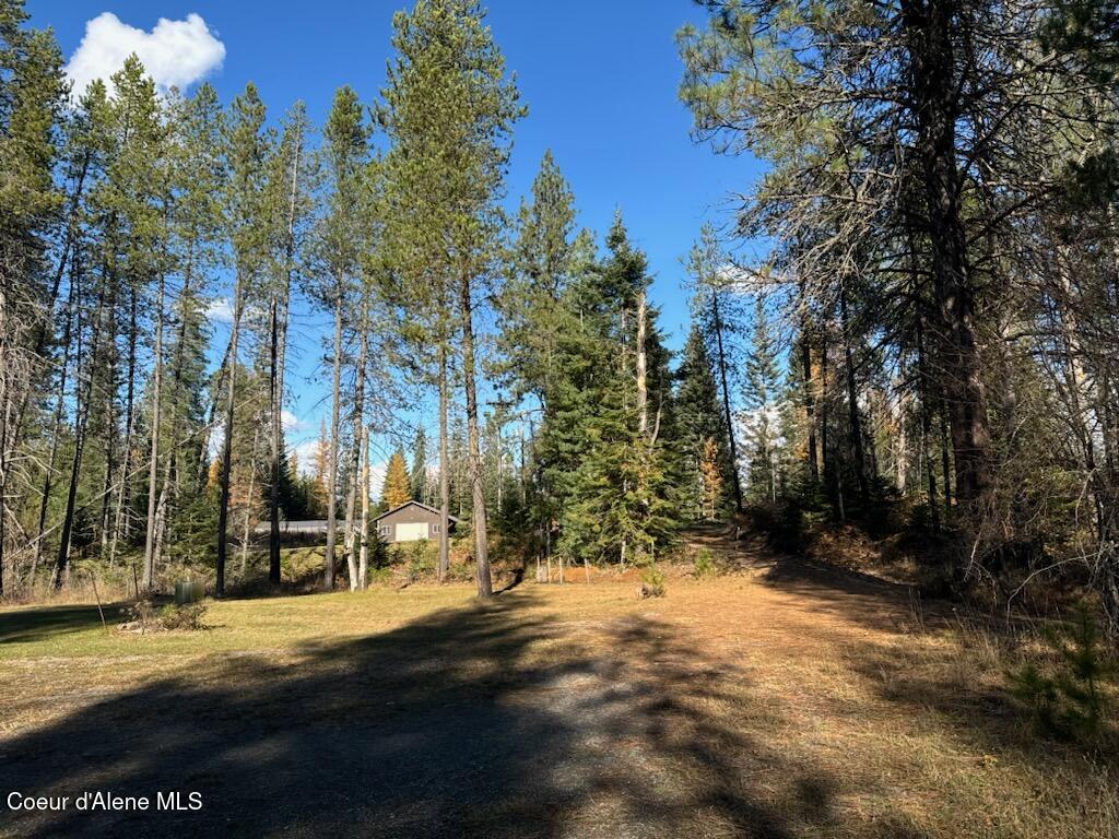780 Selkirk Road Sandpoint, ID 83864 - Photo 47 of 57 Separate site in cedar grove