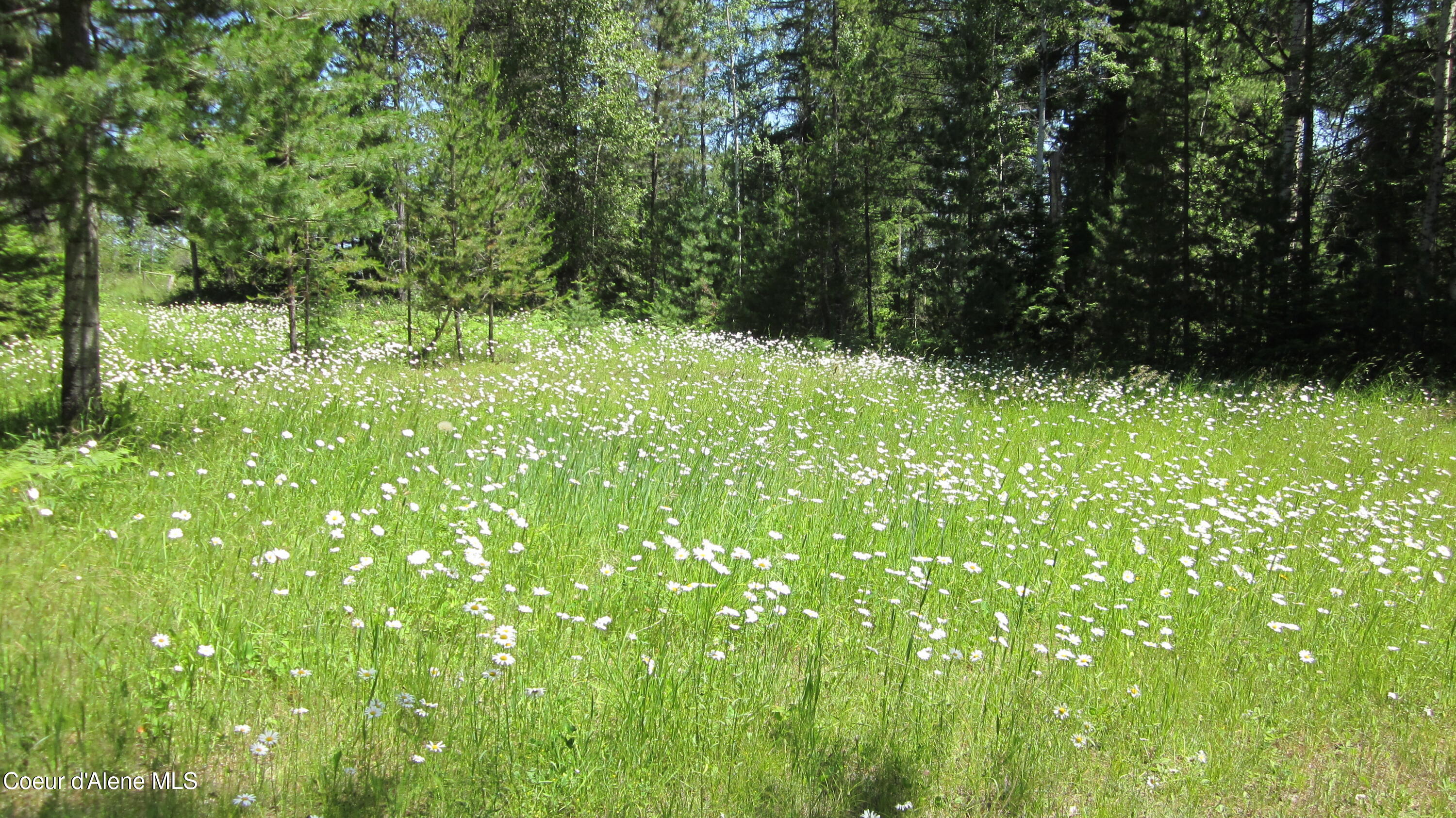 780 Selkirk Road Sandpoint, ID 83864 - Photo 53 of 57 .