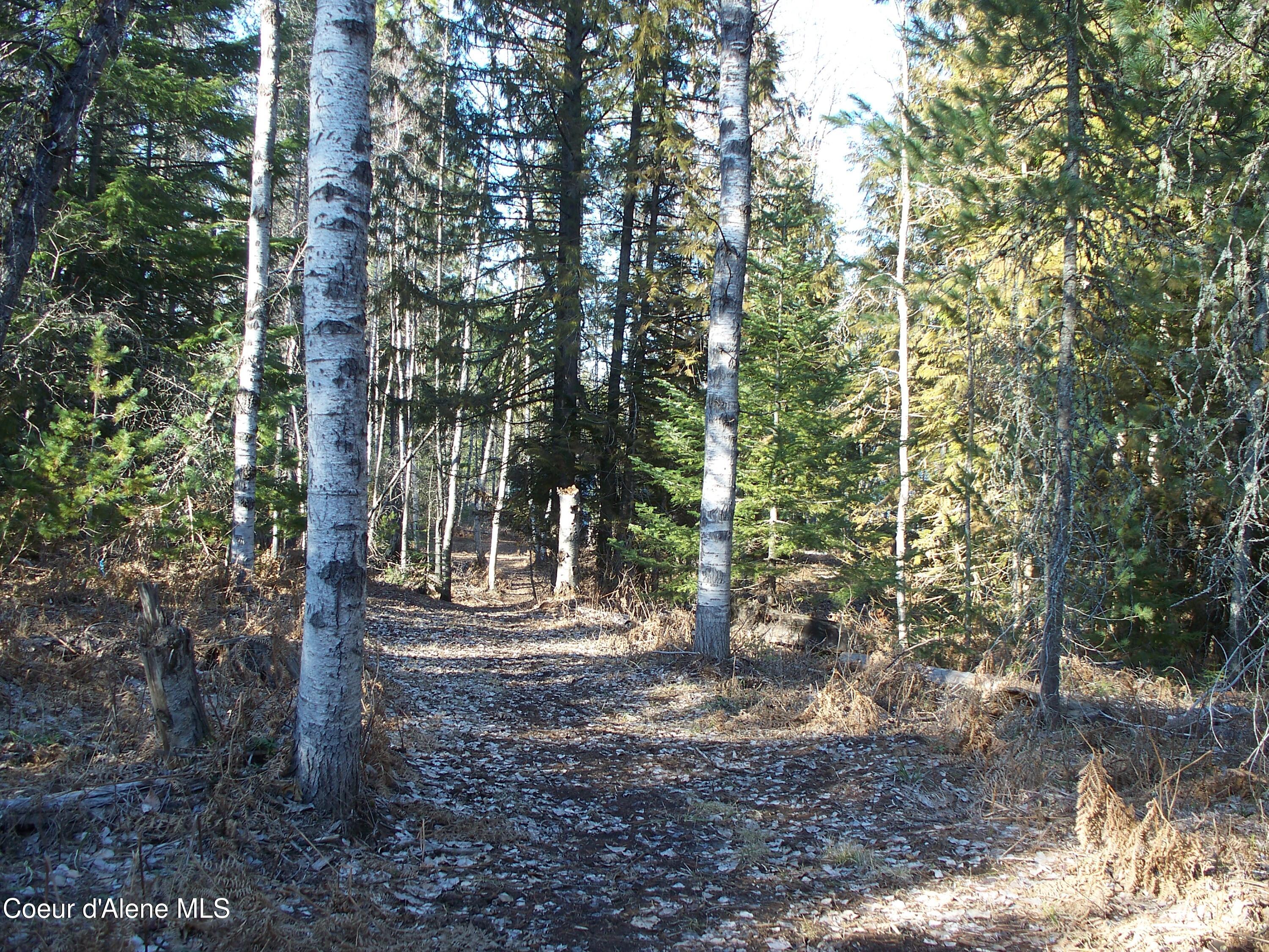 780 Selkirk Road Sandpoint, ID 83864 - Photo 57 of 57 .