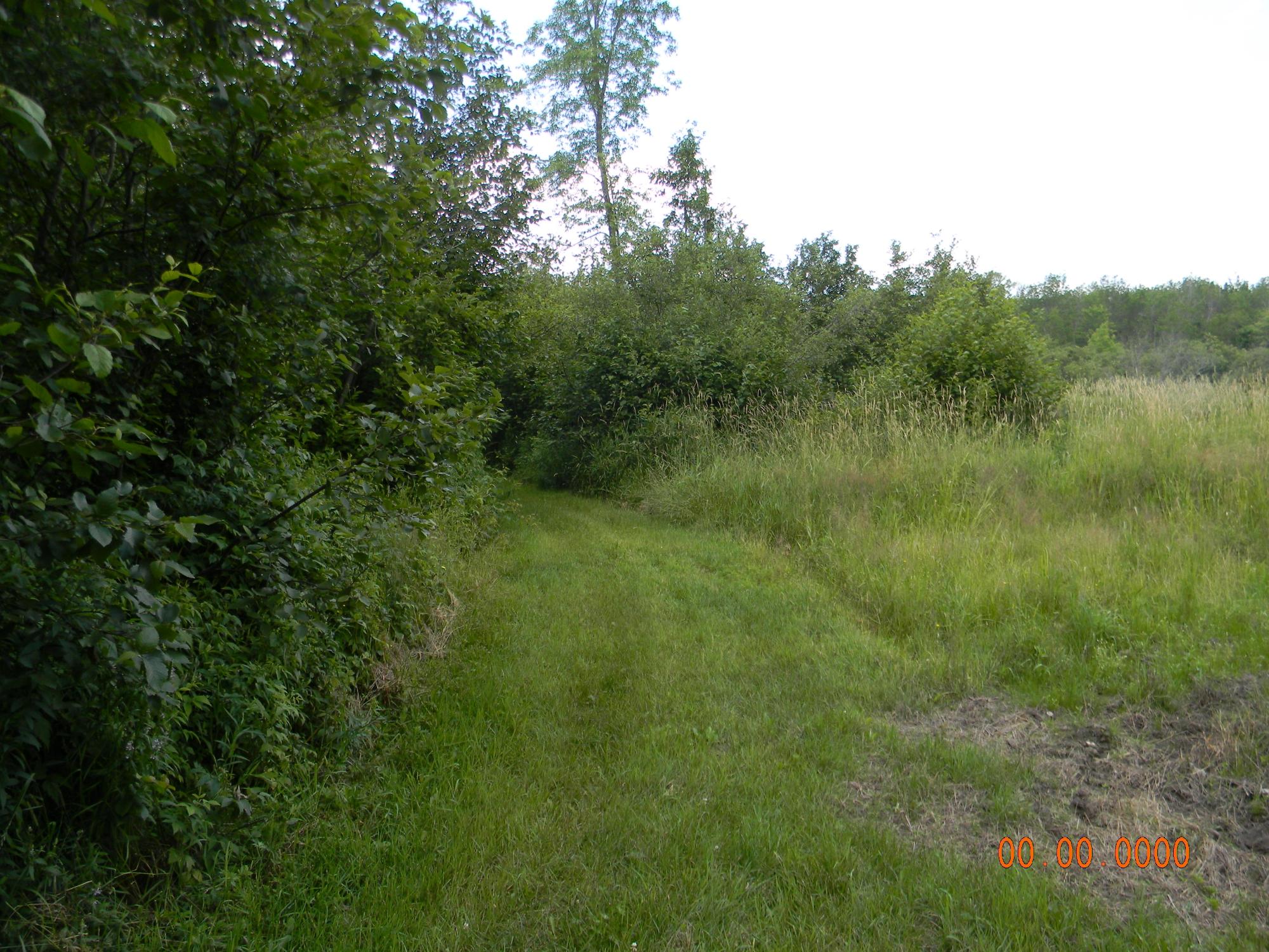 On Burr Oak Road Kennan, WI 54537 - Photo 4 of 28 Gallery Image 4