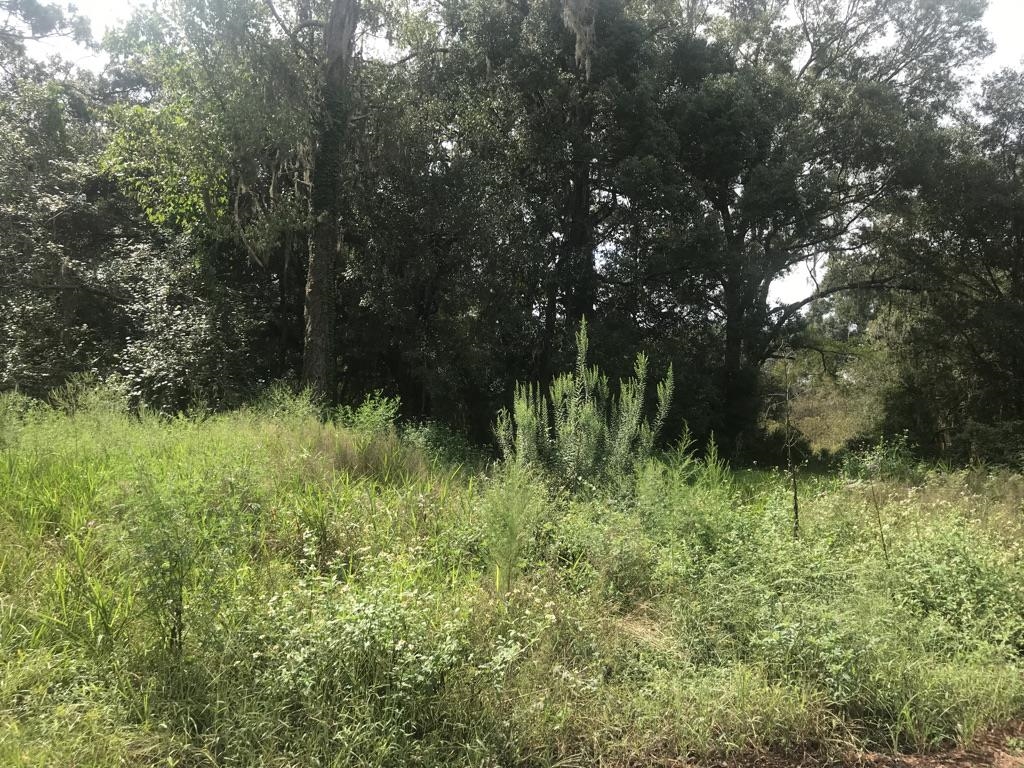 0 Alice Perry, FL 32348 - Photo 1 of 2
