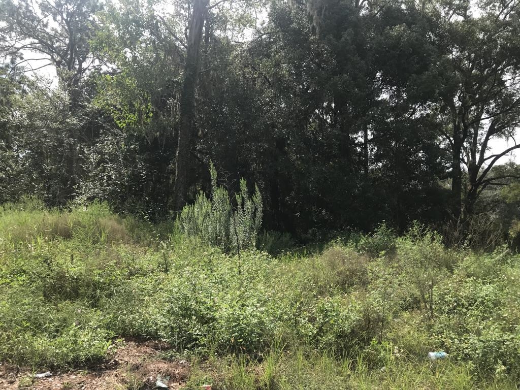0 Alice Perry, FL 32348 - Photo 2 of 2