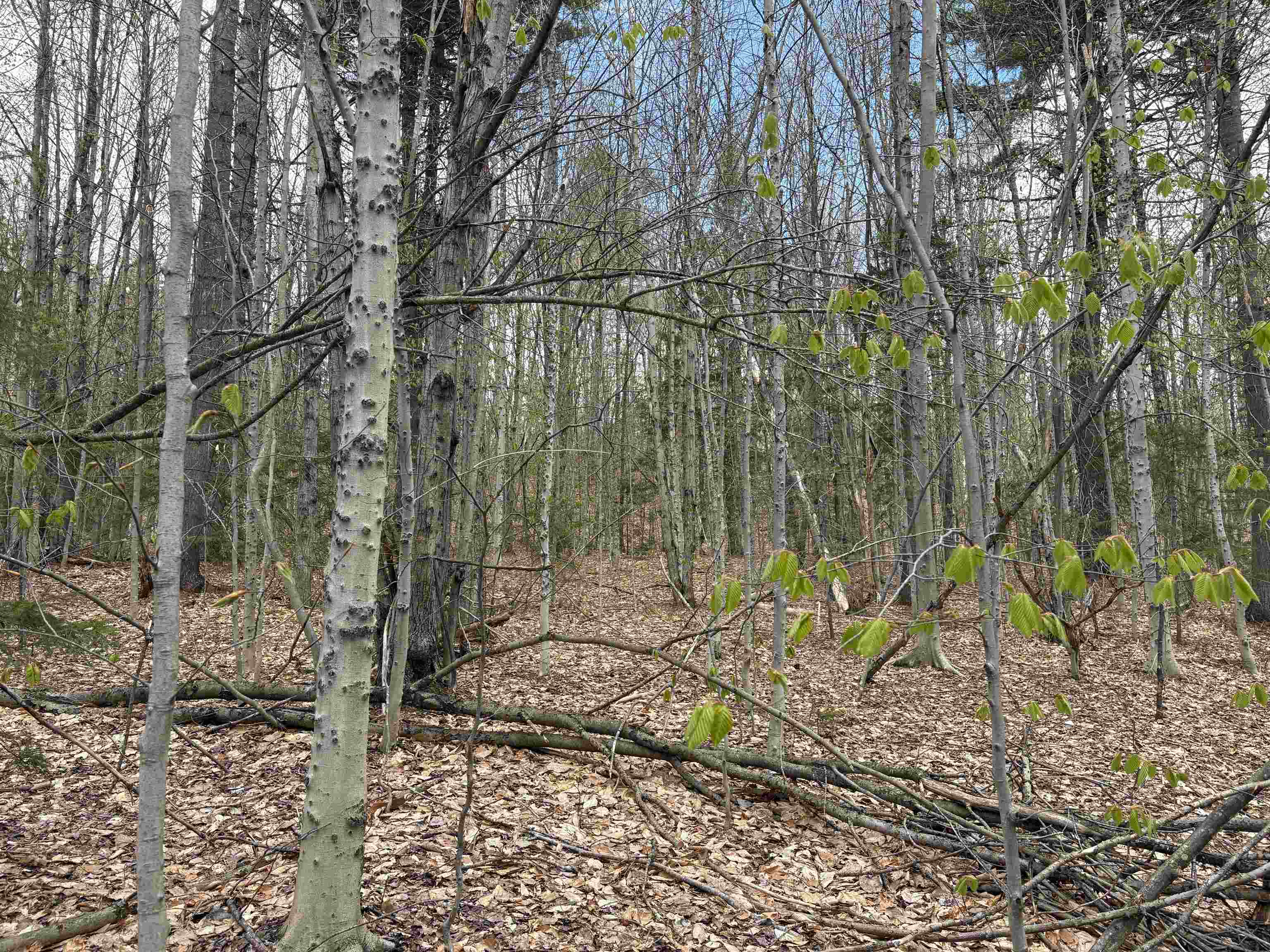 0 East Hill Road Andover, VT 05143 - Photo 9 of 17