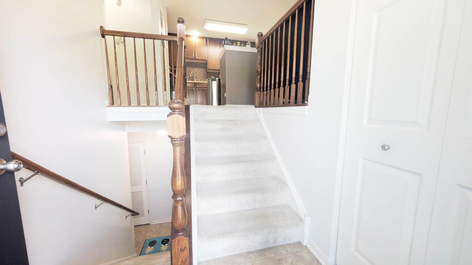 599 Treble Lane Volo, IL 60073 - Photo 4 of 20