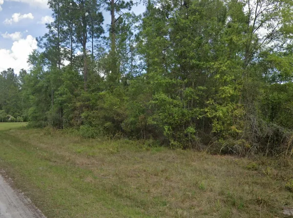 $14,000 | 103 Glenside Street, Georgetown, FL 32139