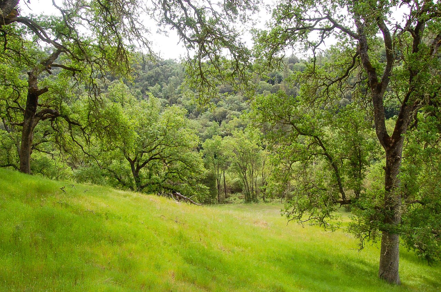 71 Hawver Road San Andreas, CA 95249 - Photo 85 of 96