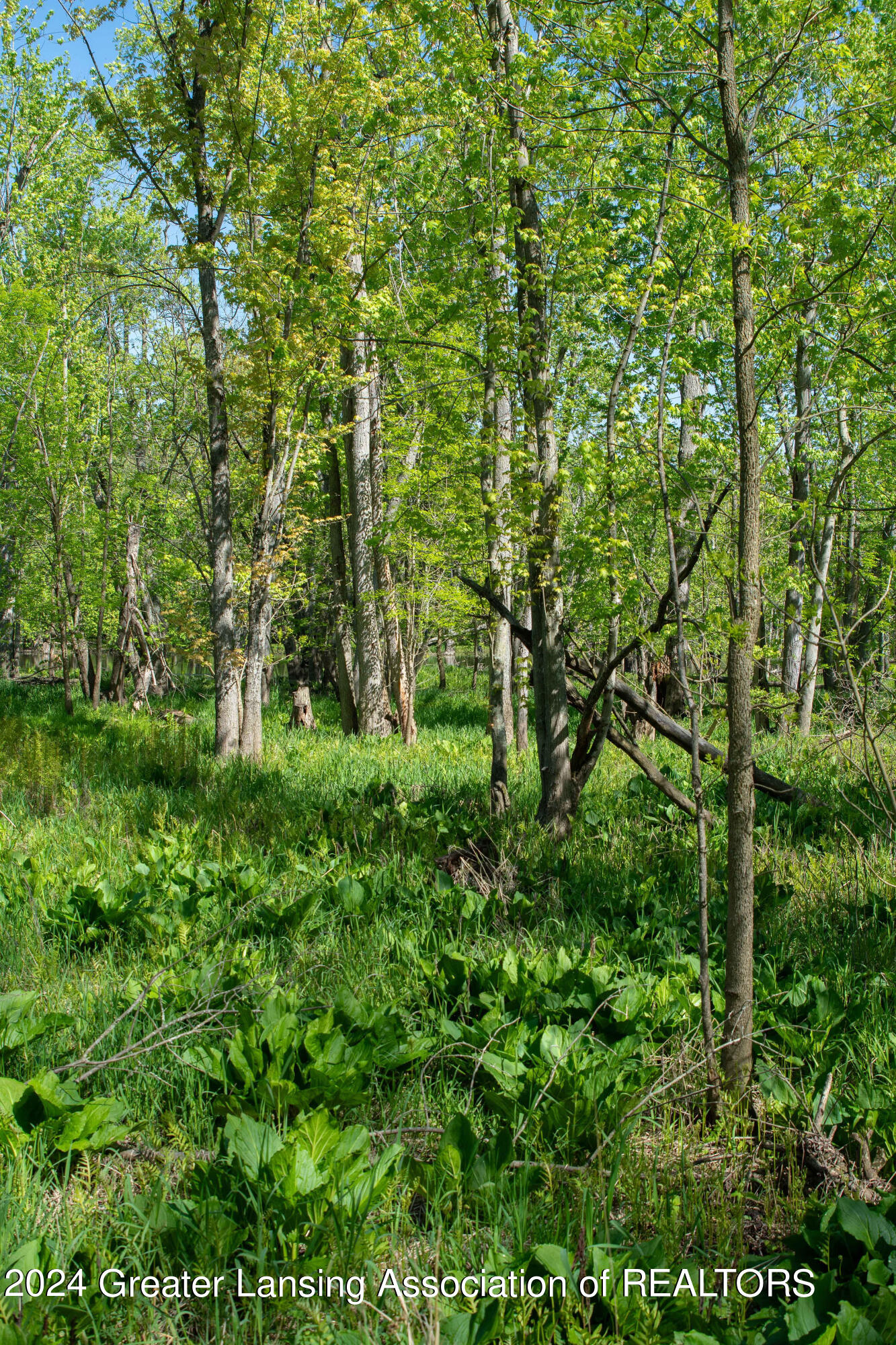 V/l Island Road Fowler, MI 48835 - Photo 10 of 16 KJP_9089copy