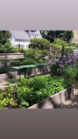 a view of a lake with a city