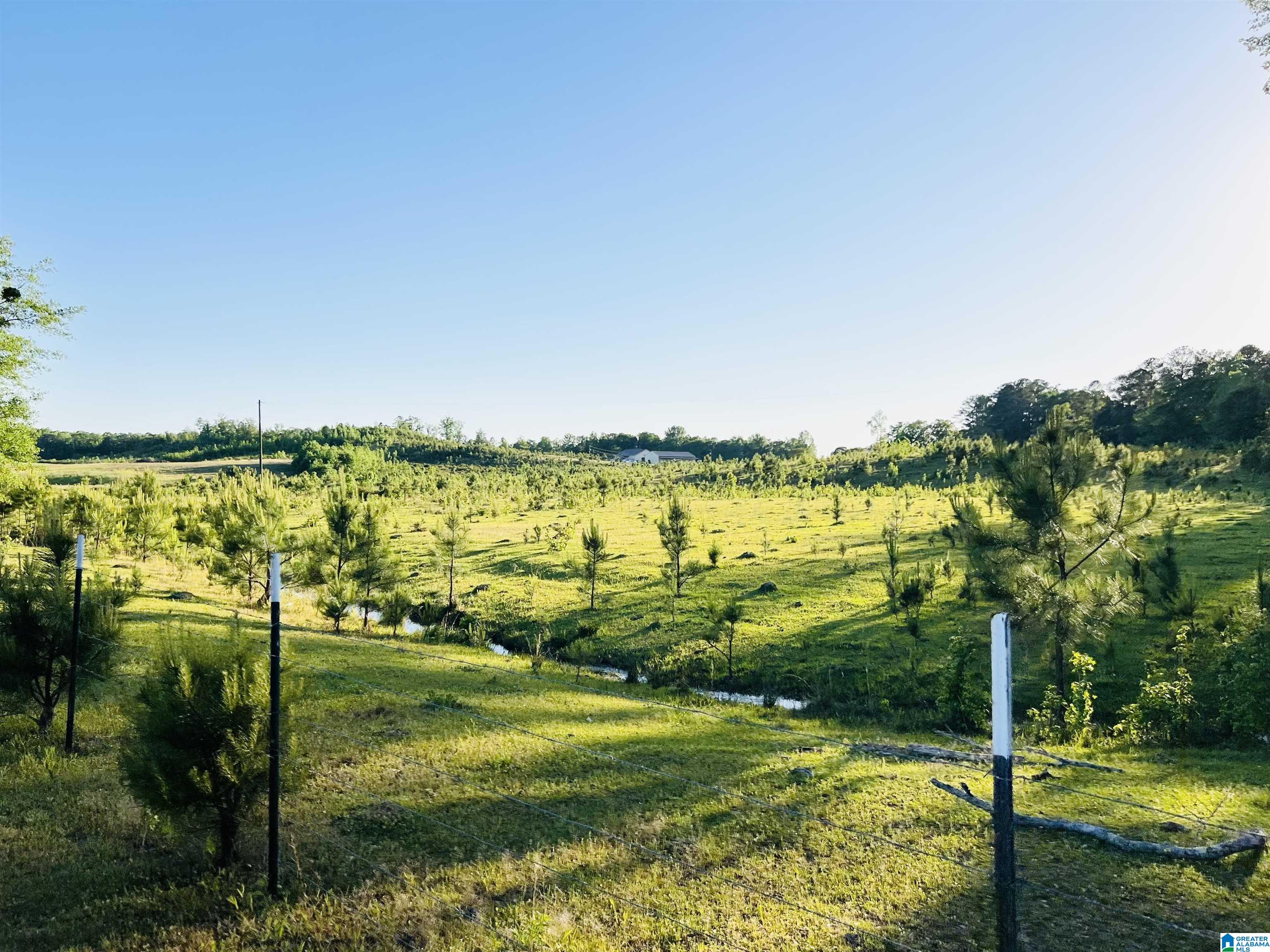 0 Oak Grove Road Gadsden, AL 35905 - Photo 10 of 10