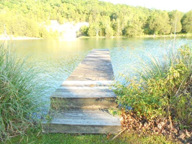 528 Sable Road Spring City, TN 37381 - Photo 23 of 24 Gallery Image 23
