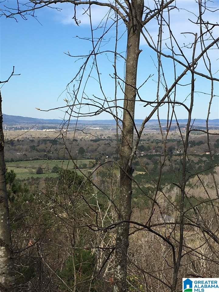 230 County Line Road Oxford, AL 36203 - Photo 4 of 50
