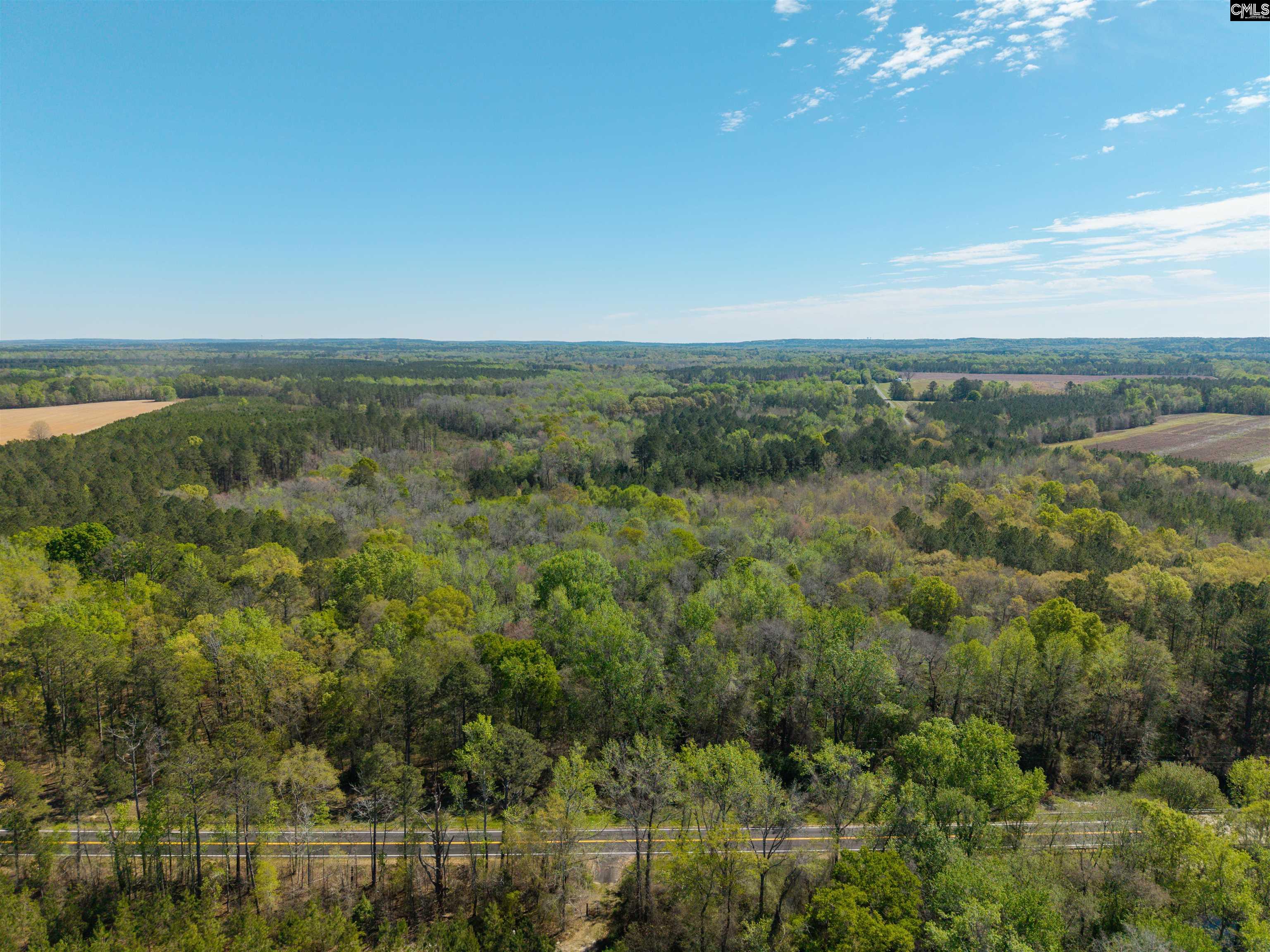 Horatio Haygood Road Rembert, SC 29128 - Photo 6 of 9