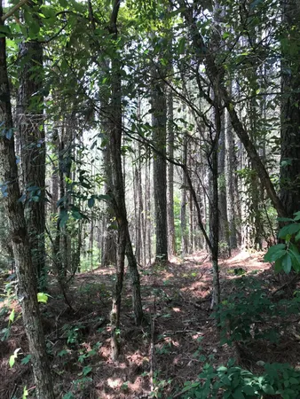 $125,900 | 0 Hiwassee Street, Copperhill, TN 37317