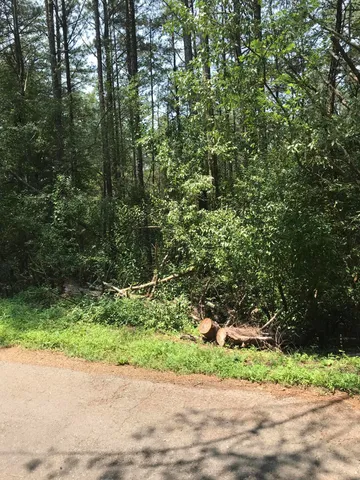 $125,900 | 0 Hiwassee Street, Copperhill, TN 37317