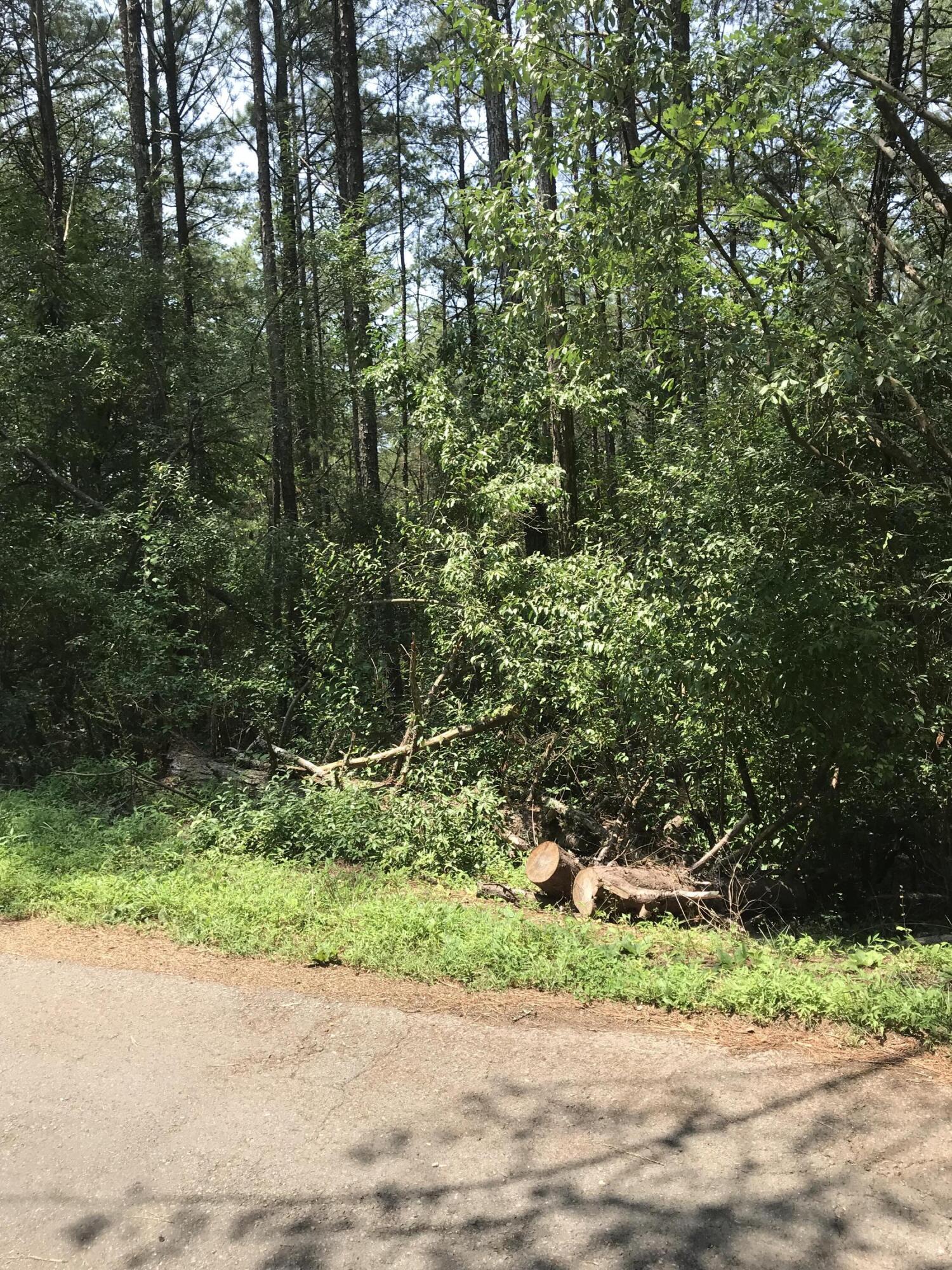 0 Hiwassee Street Copperhill, TN 37317 - Photo 3 of 4 IMG-4869