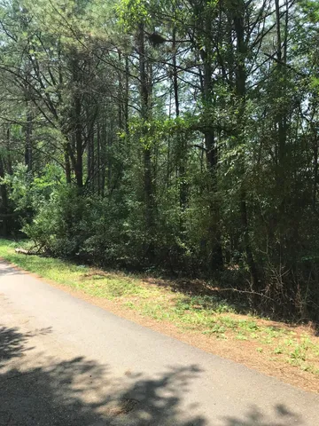 $125,900 | 0 Hiwassee Street, Copperhill, TN 37317