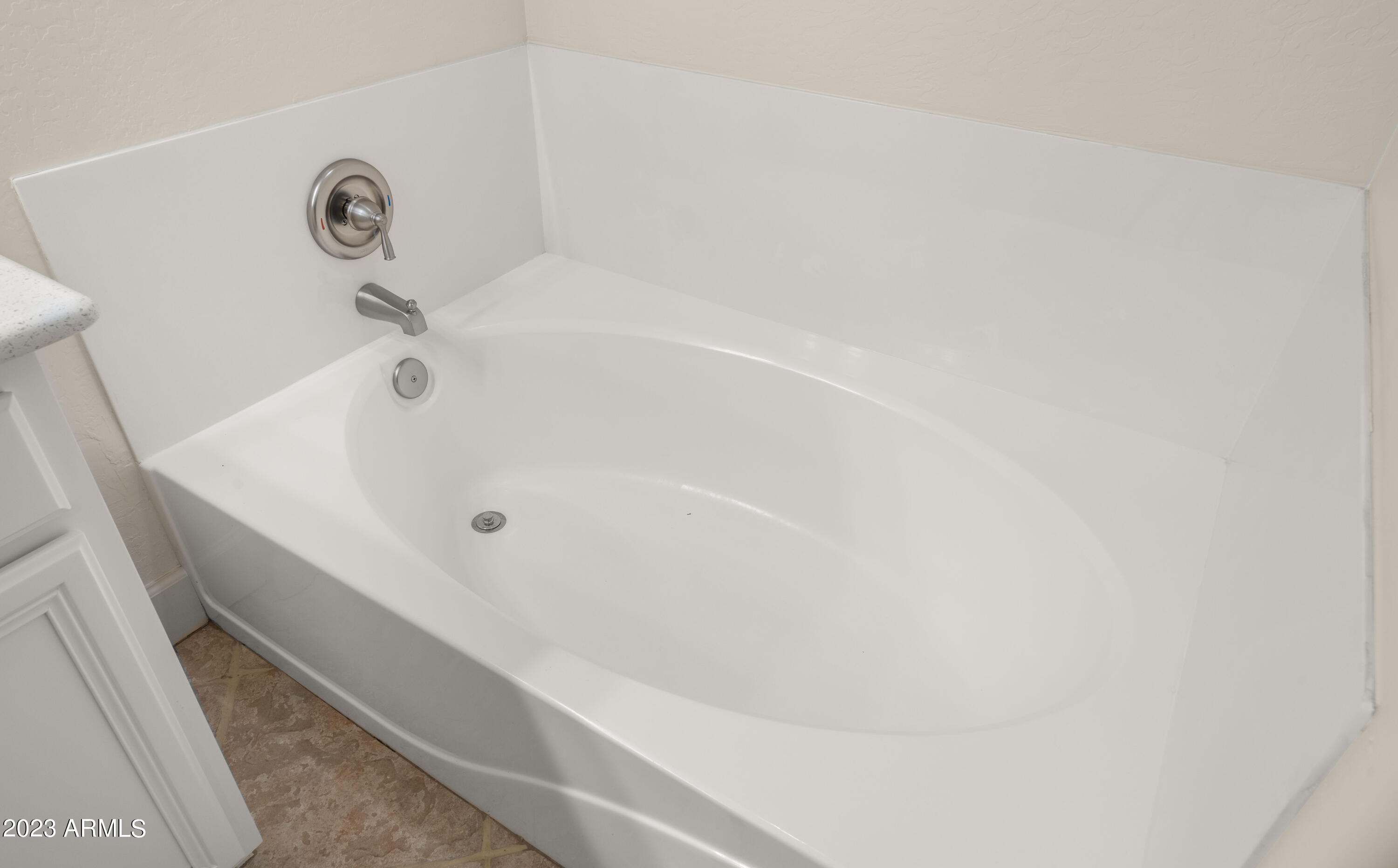 1024 East Frye Road, Unit 1046 Phoenix, AZ 85048 - Photo 23 of 36 Separate Tub