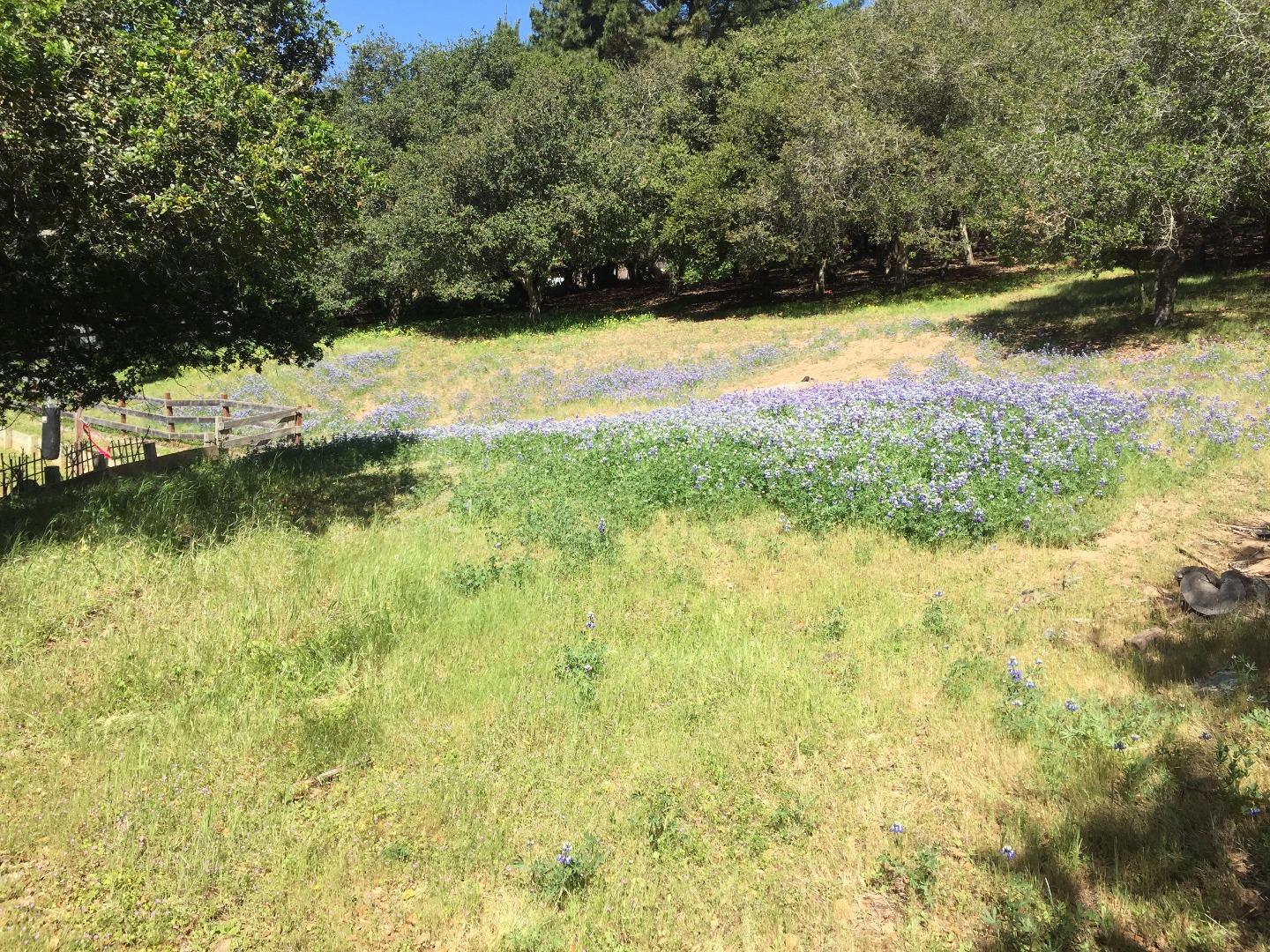 677 Paradise Road Prunedale, CA 93907 - Photo 15 of 20 Gallery Image 15