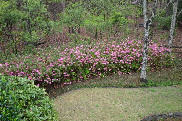 712 Highland Road Auburn, AL 36830 - Photo 40 of 46 Gallery Image 40