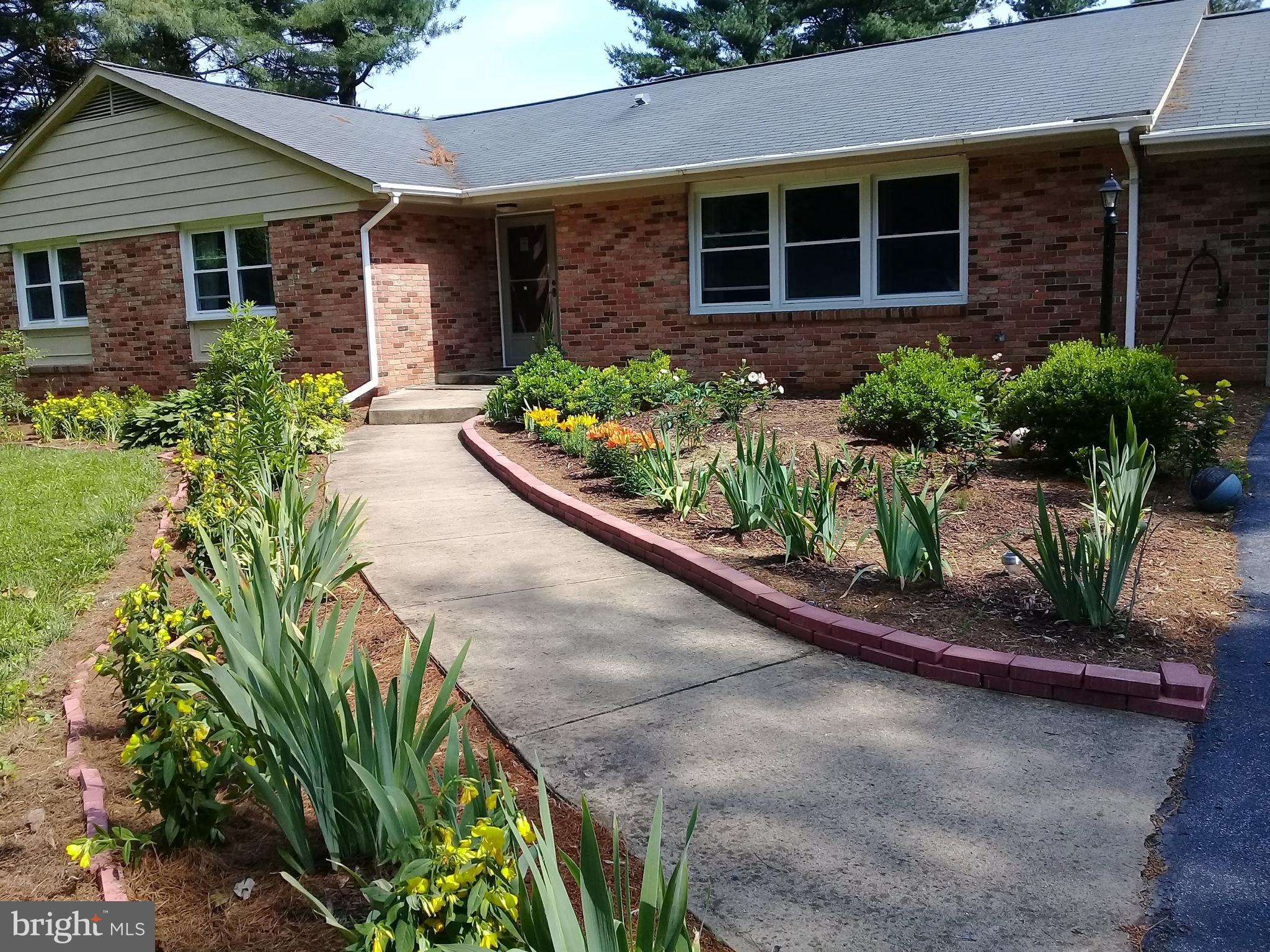 Spring Photo
