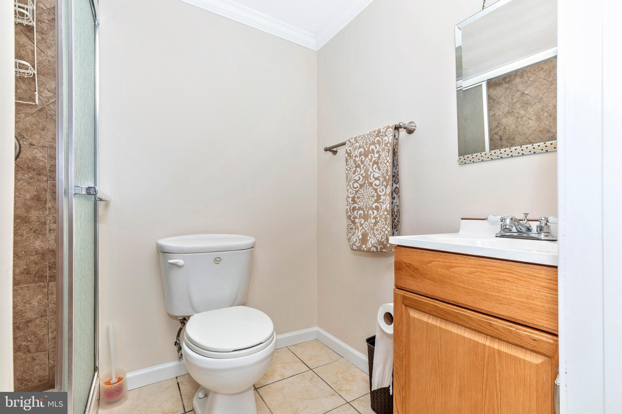 12150 Fingerboard Road Monrovia, MD 21770 - Photo 40 of 56 Lower Level Full Bath