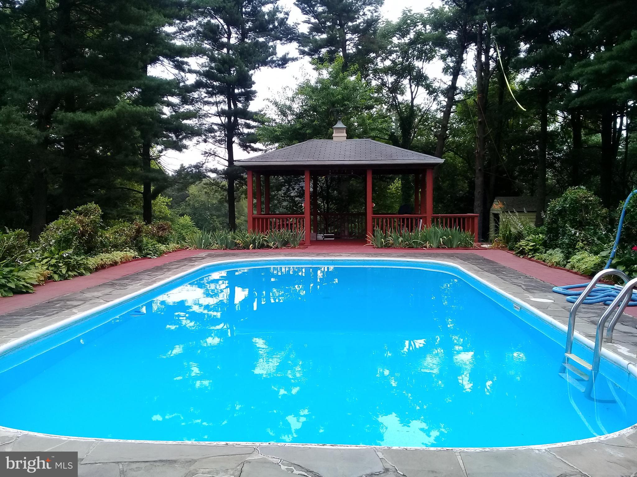 12150 Fingerboard Road Monrovia, MD 21770 - Photo 42 of 56 Party time!