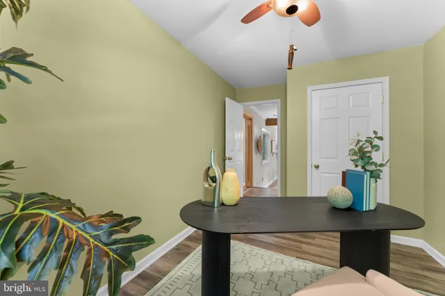 a bathroom sink with a potted plant