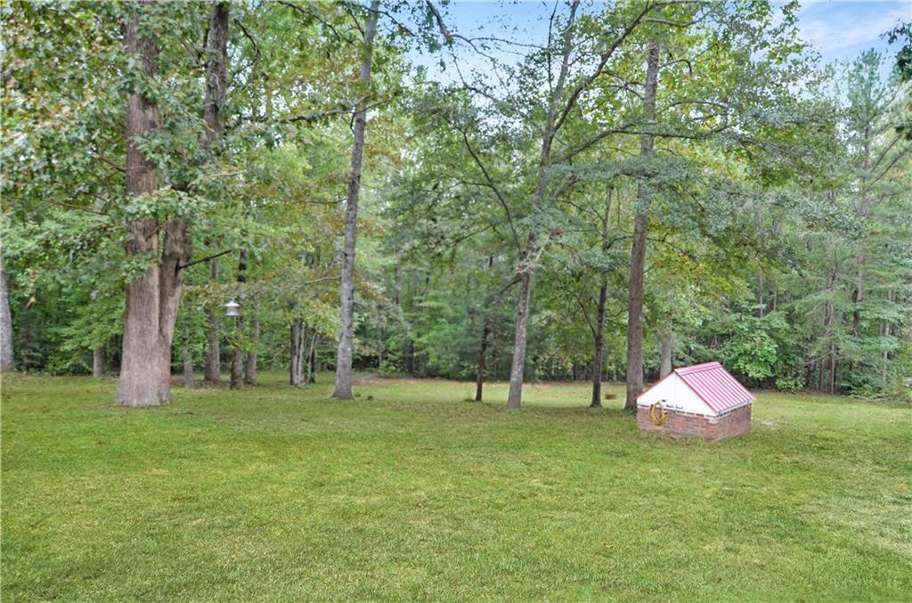 3243 Highway 184 Toccoa, GA 30577 - Photo 11 of 33 a backyard of a house with lots of green space and trampoline