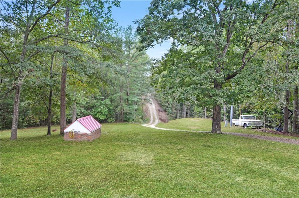 3243 Highway 184 Toccoa, GA 30577 - Photo 12 of 33 a garden view with a sitting space