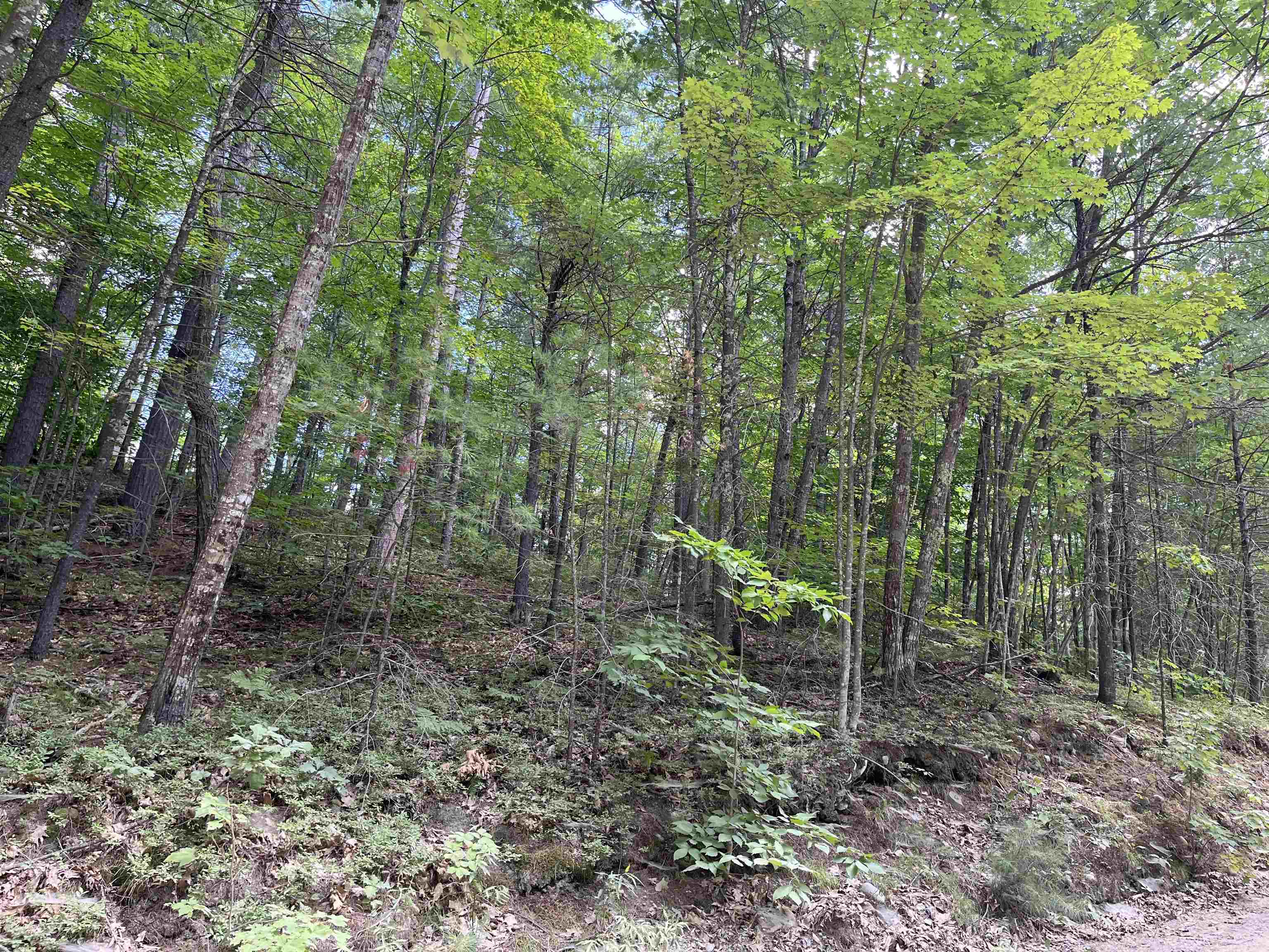 Lord Road Sanbornville, NH 03872 - Photo 6 of 10