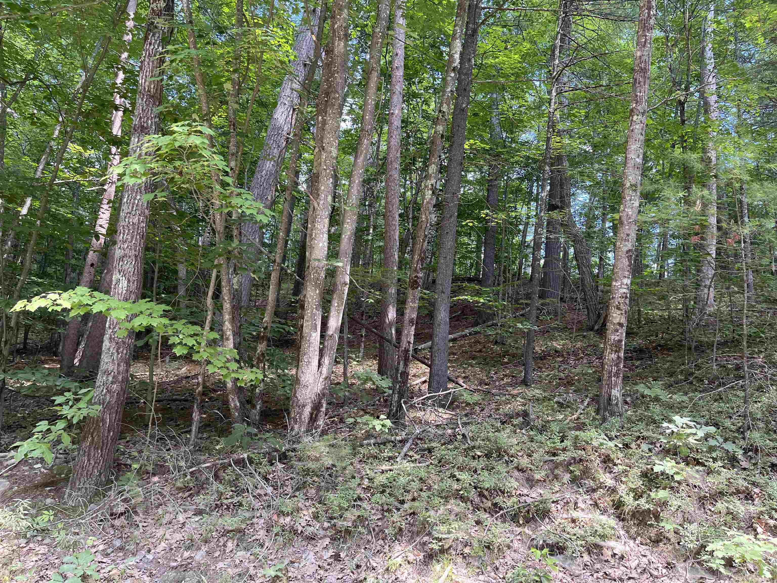 Lord Road Sanbornville, NH 03872 - Photo 7 of 10