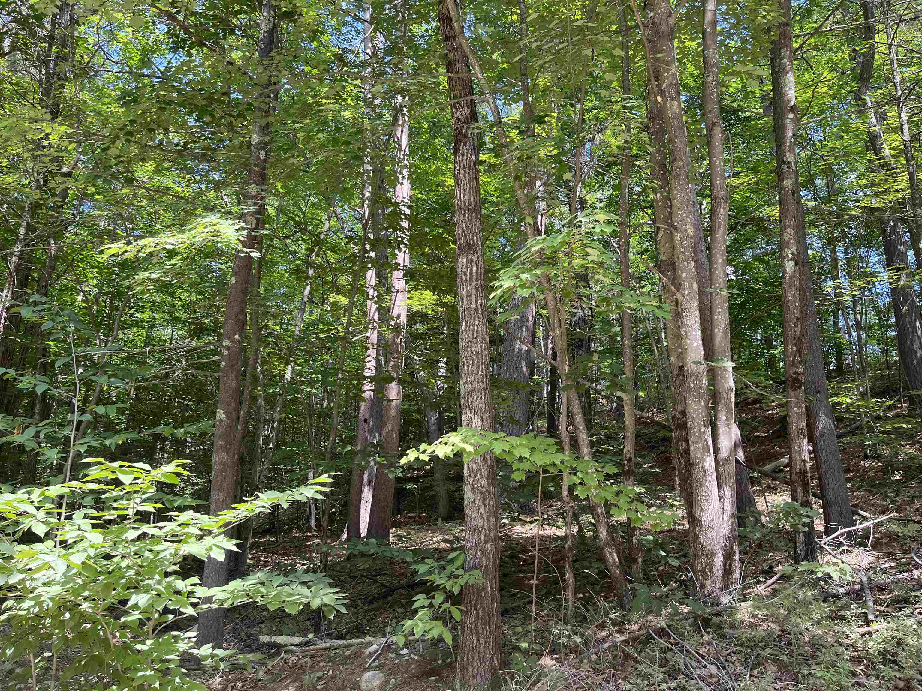 Lord Road Sanbornville, NH 03872 - Photo 8 of 10