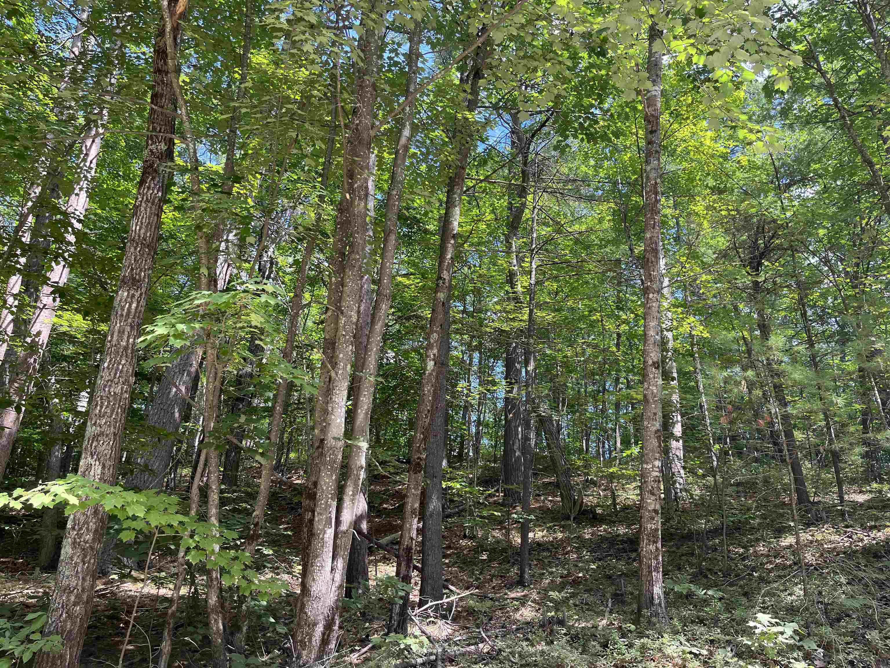 Lord Road Sanbornville, NH 03872 - Photo 9 of 10