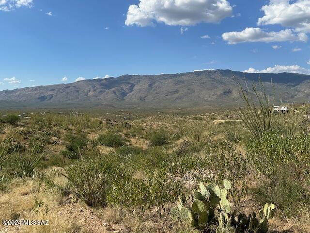 8167 South Pistol Hill Road Vail, AZ 85641 - Photo 8 of 36