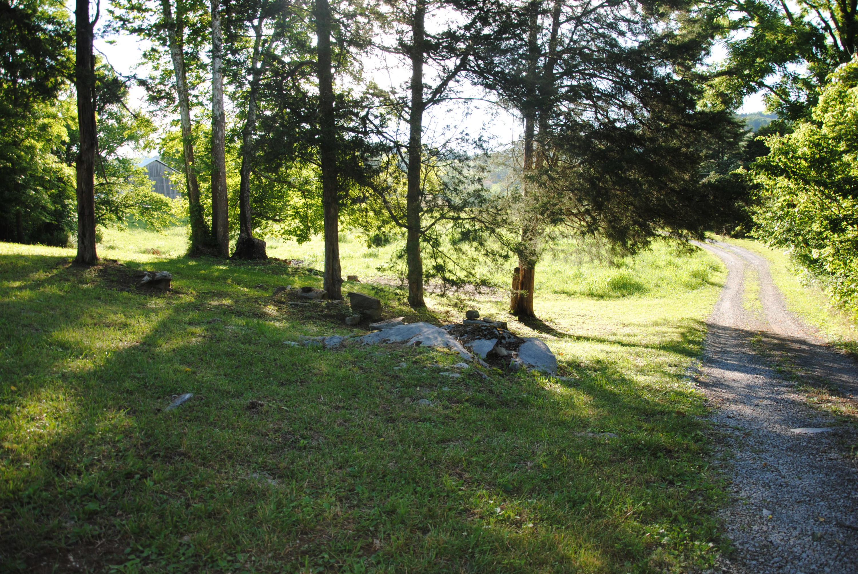 1166 Little Sycamore Road Tazewell, TN 37879 - Photo 30 of 36 DSC_0422