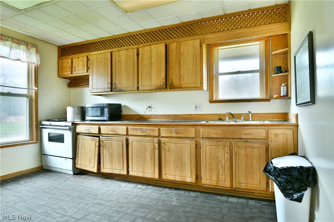 5013 King-Graves Road Vienna, OH 44473 - Photo 8 of 50 Kitchen with stainless steel microwave, white range with electric stovetop, wood finish cabinetry, and dark colored carpet